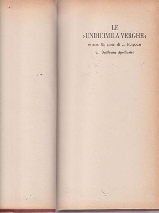 Le undicimila verghe - Guillaume Apollinaire - copertina