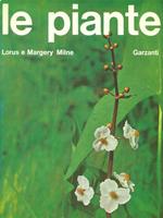 Le  piante