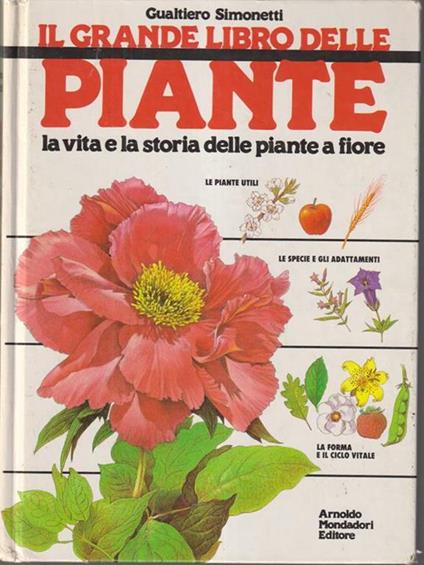   Piante - Gualtiero Simonetti - copertina