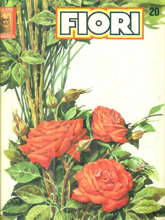 Fiori 20 - copertina