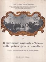 Il movimento nazionale a Trieste nella prima guerra mondiale
