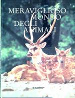 Meraviglioso mondo degli animali