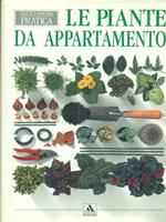 Le piante da appartamento