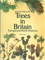 Trees in Britain