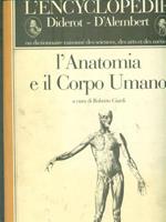 L' anatomia e il corpo umano