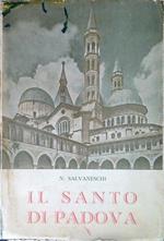 Il Santo di Padova