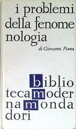 I problemi della fenomenologia