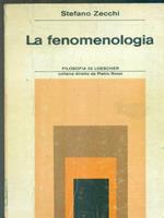 La fenomenologia