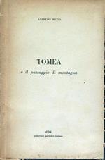 Tomea e il paesaggio di montagna