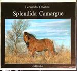 Splendida Camargue