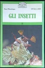 Gli insetti