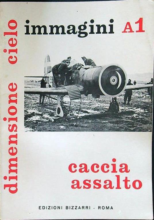 Immagini A1 caccia assalto - copertina