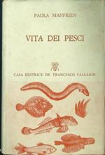 Vita dei pesci