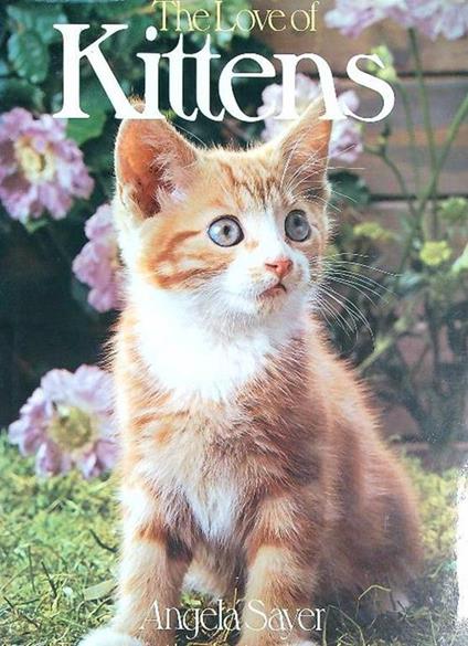 The Love of Kittens - copertina