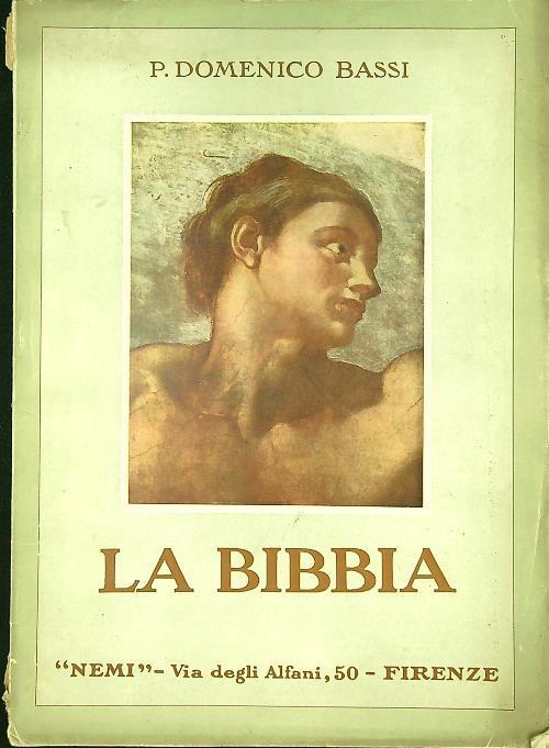 Bibbia - Domenico Bassi - copertina