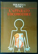 L' apparato locomotore