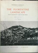 The florentine landscape