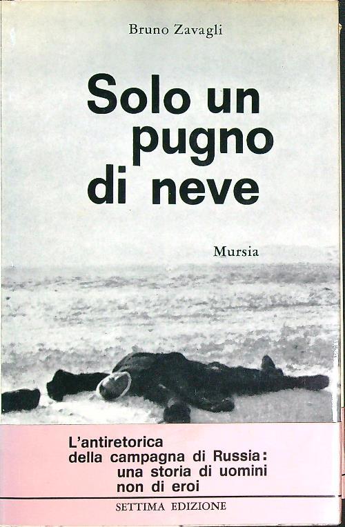 Solo un pugno di neve - Bruno Zavagli - copertina