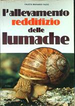 L' allevamento redditizio delle lumache