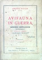 Avifauna in guerra