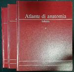 Atlante di anatomia 3 vv.