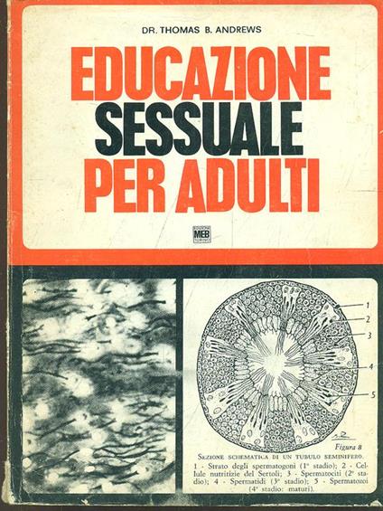 Educazione sessuale per adulti - Thomas B. Andrews - copertina