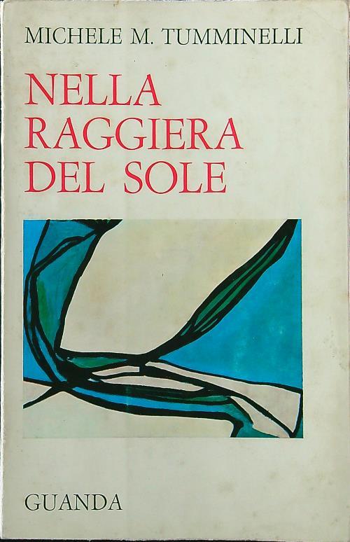 Nella raggiera del sole - Michele M. Tumminelli - copertina