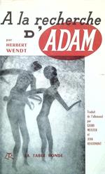 la recherche d'Adam