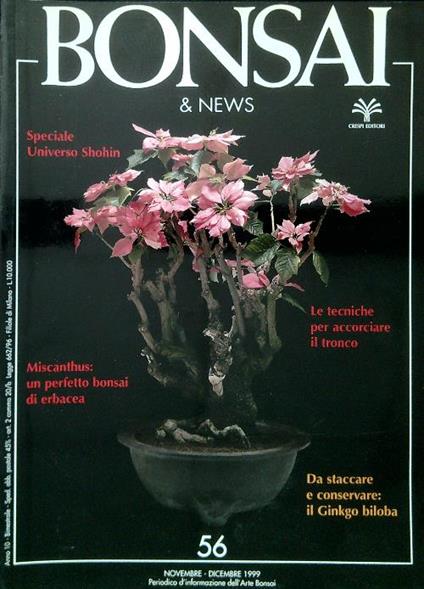 Bonsai & News 56, Novembre Dicembre 1999 - copertina