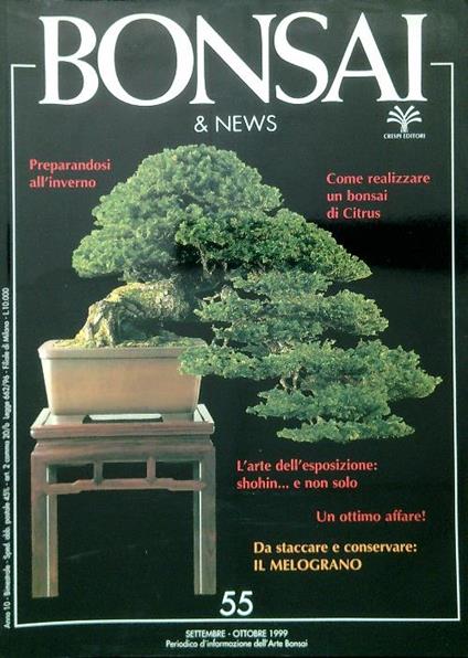 Bonsai & News 55, Settembre Ottobre 1999 - copertina