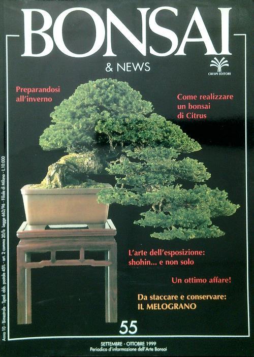 Bonsai & News 55, Settembre Ottobre 1999 - copertina