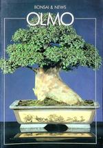 Bonsai & News. Olmo