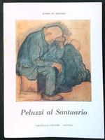 Peluzzi al Santuario