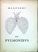 De Pulmonibus