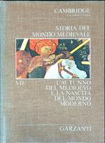 Storia del mondo medievale 7 vv