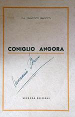 Coniglio Angora