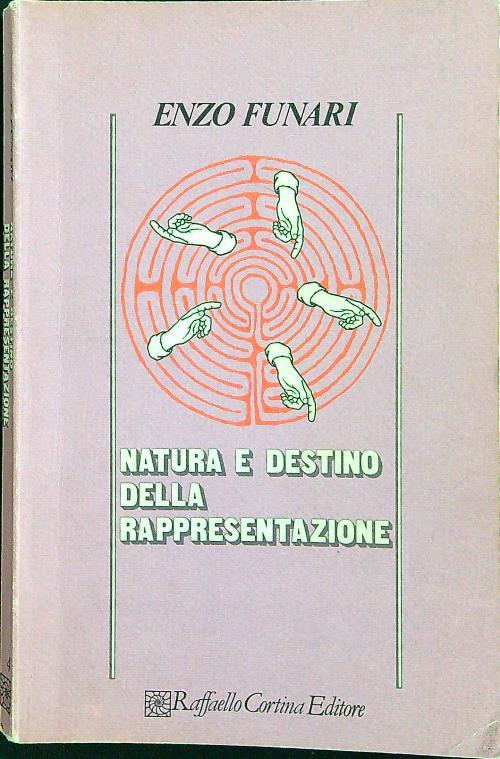 Natura e destino della rappresentazione - Enzo Funari - copertina