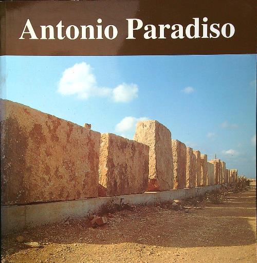 Antonio Paradiso - Andrea B. Del Guercio - copertina