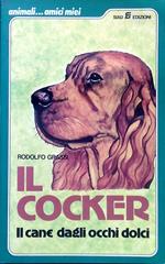 Il cocker. Il cane dagli occhi dolci