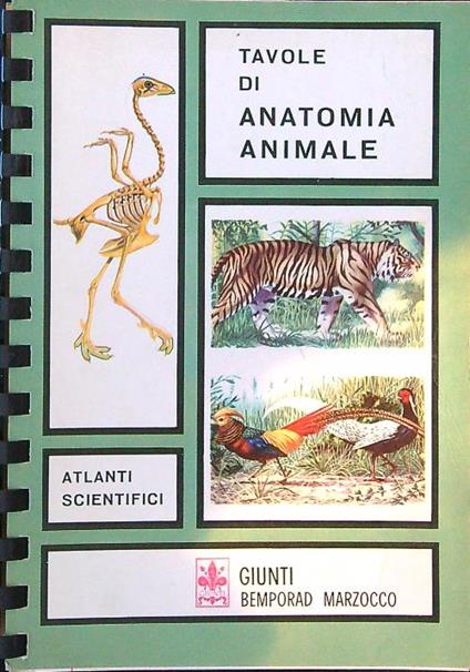 Tavole di Anatomia Animale - V. Muedra - copertina