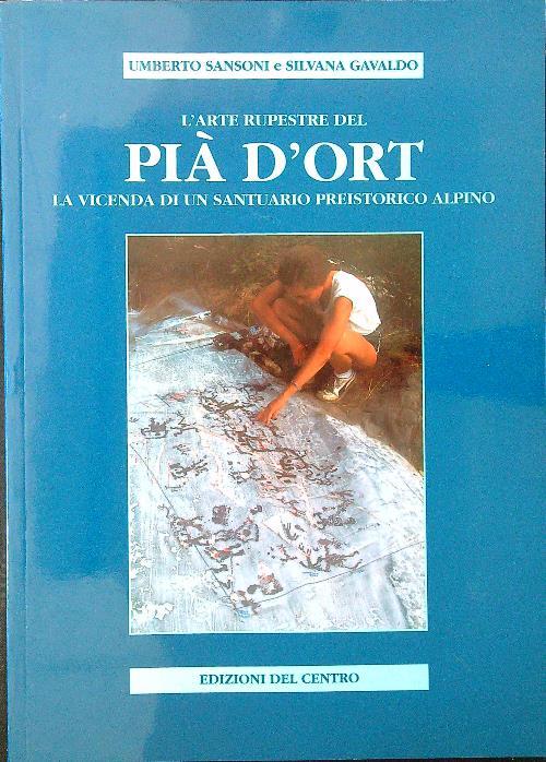 L' arte rupestre del Pià d'Ort. La vicenda di un santuario preistorico alpino - Sansoni - copertina