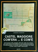 Castel Maggiore com'era... e com'è