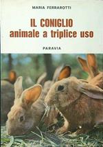 Il coniglio animale a triplice uso