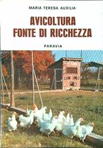 Avicoltura fonte di ricchezza