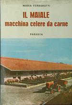 Il maiale. Macchina celere da carne