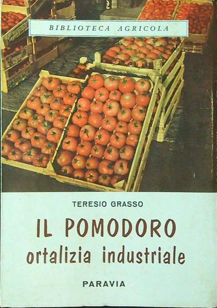 Il pomodoro ortalizia industriale - Teresio Grasso - copertina