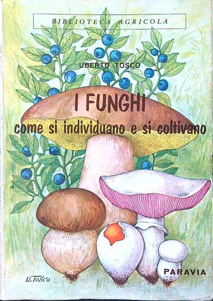 I funghi. Come si individuano e si coltivano - Uberto Tosco - copertina