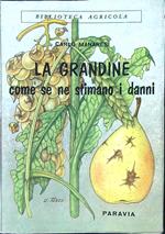 La grandine. Come se ne stimano i danni