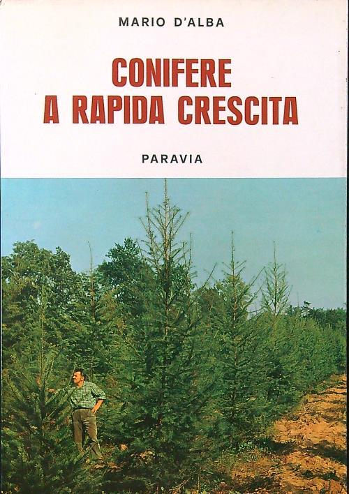 Conifere a rapida crescita - Mario D'Alba - copertina