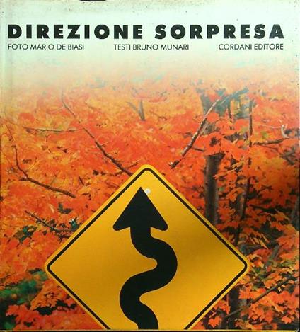 Direzione sorpresa - De Biasi - copertina